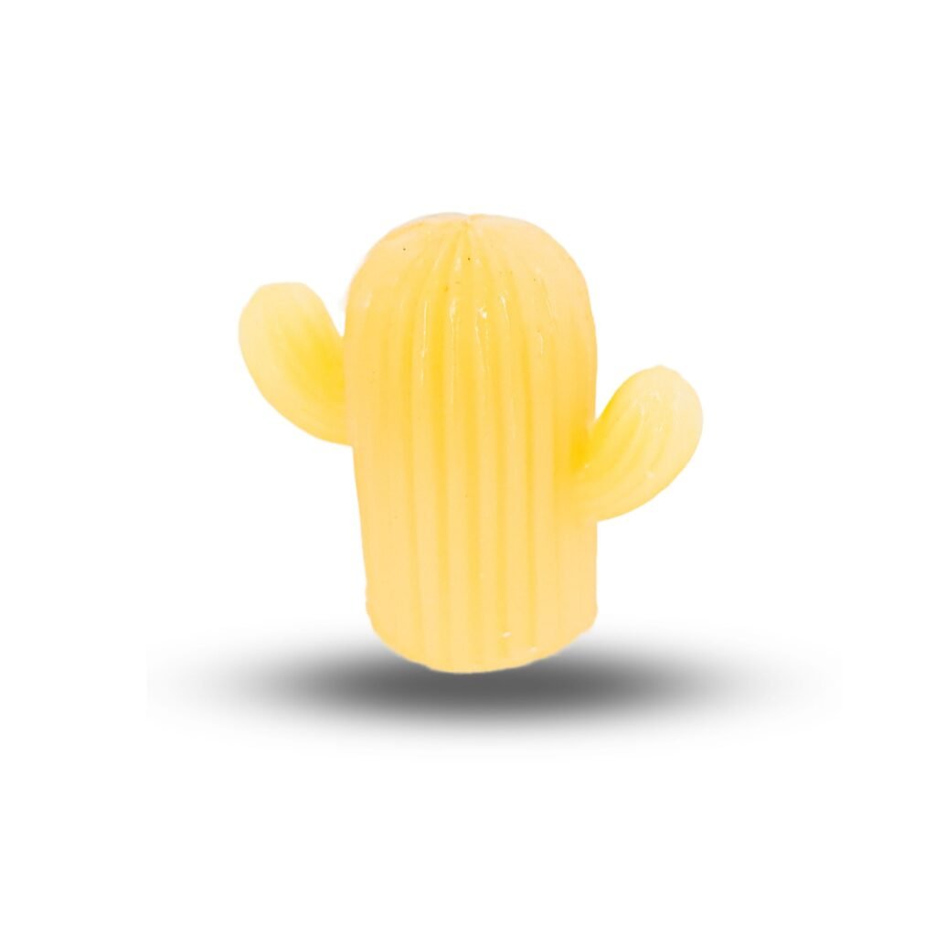 Bougie Cactus à Huile Essentielle